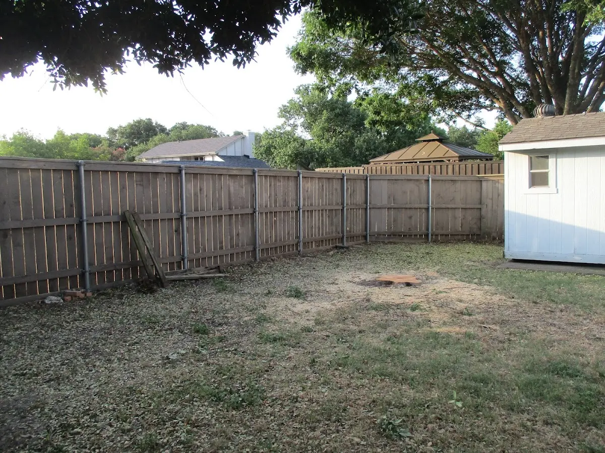 Cleared yard after professional tree removal in Almond